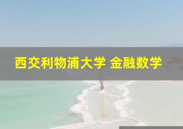 西交利物浦大学 金融数学